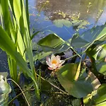 Les Rives Du Lay Elbee