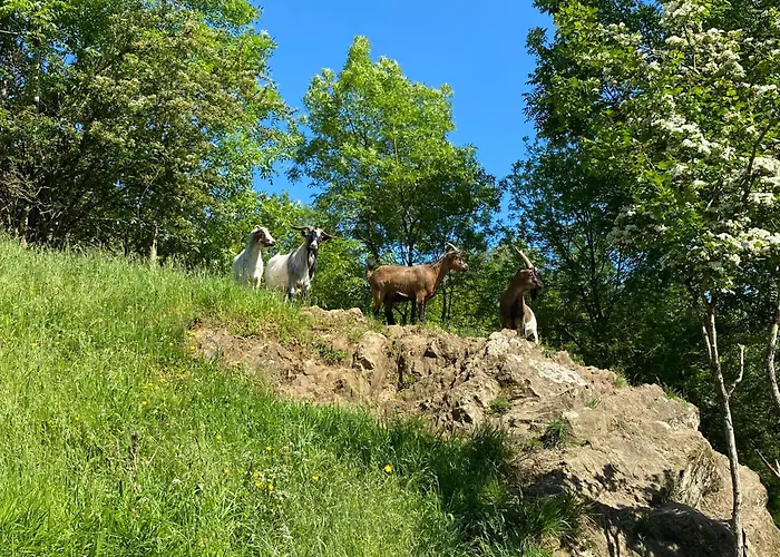 Les Rives Du Lay Elbee Dom wakacyjny Le Boupère