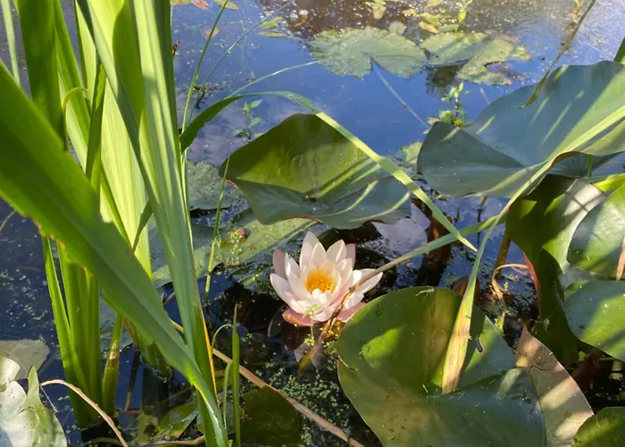 Les Rives Du Lay Elbee